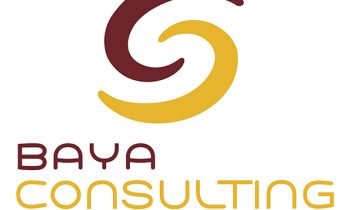 BAYA Consulting : Le portage salarial et l’industrie