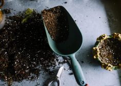 https://job-industrie.com/wp-content/uploads/2019/04/gardening-690940_1920-236x168.jpg
