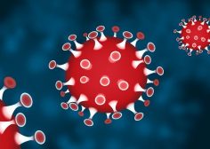 https://job-industrie.com/wp-content/uploads/2020/03/coronavirus-COVID-19-industrie--236x168.jpg
