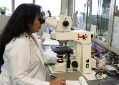 https://job-industrie.com/wp-content/uploads/2020/03/ingénieur-microbiologie-industrie-236x168.jpg