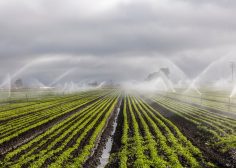 https://job-industrie.com/wp-content/uploads/2024/12/irrigation-agricole-emploi-236x168.jpg