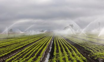 Irrigation industrielle : Technologies et opportunités