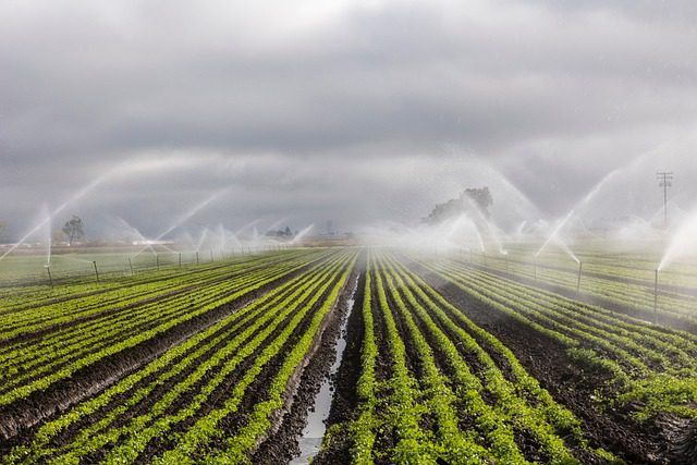 irrigation agricole emploi